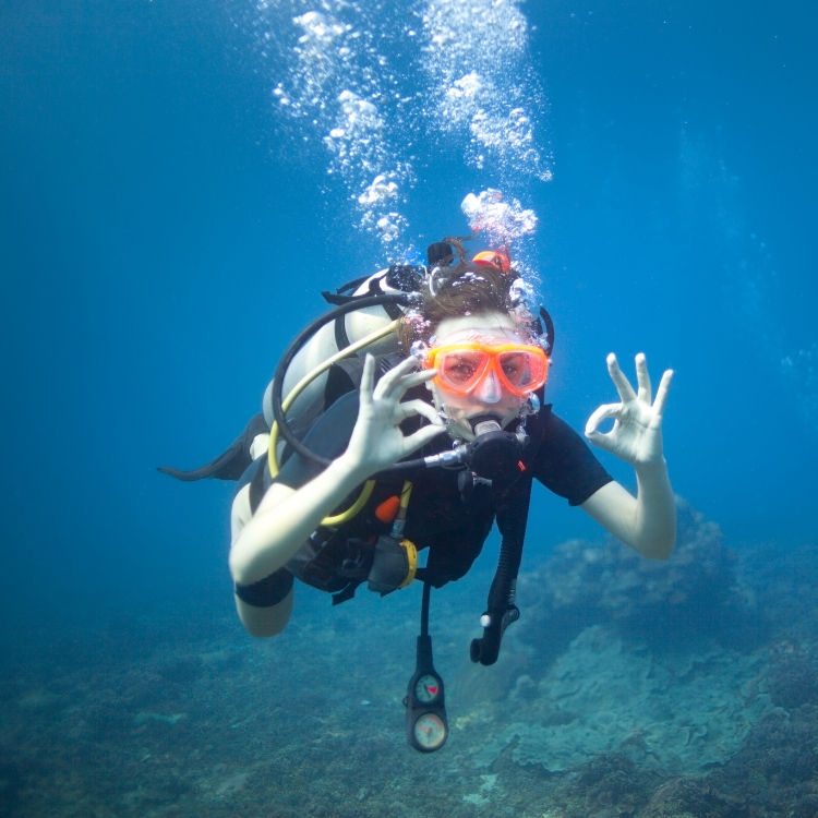 PADI Scuba Diving Courses